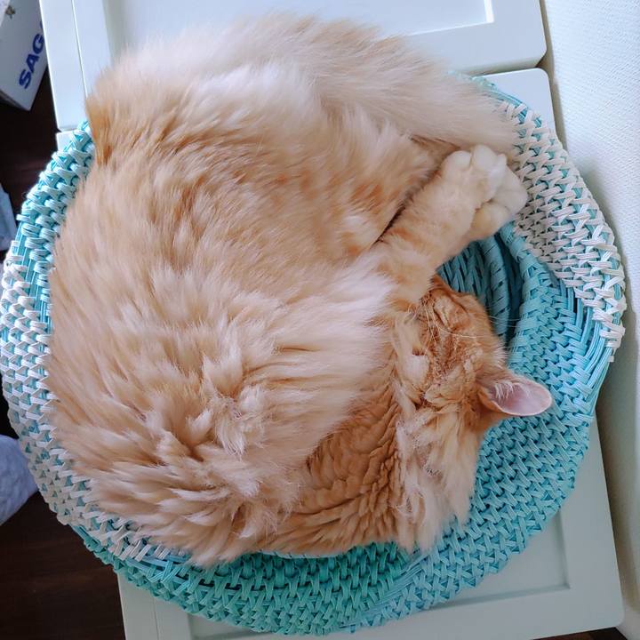 5f849070 5d41 4f78 bfd0 e6aaef91fbee 1653519818666