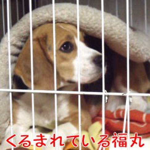 5f849e21 2bb8 4648 9012 4595bc4a6de2 1713744415169