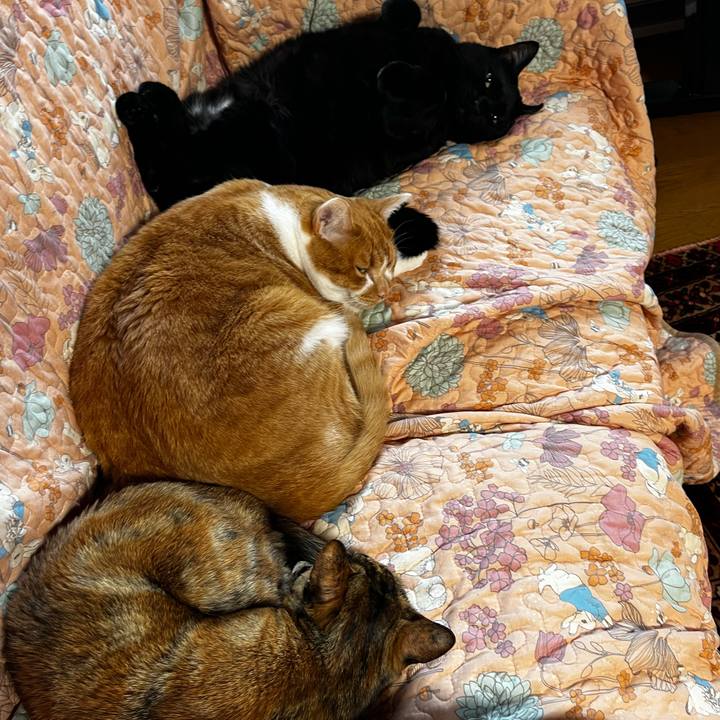 5f84d21f 5f3a 4c68 ae5a 5f83c06941fe 1719043421486