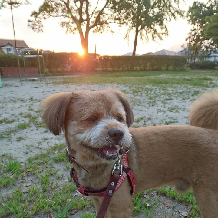 5f850fb4 baad 492e 9321 c3243d87cca1 1533418797523