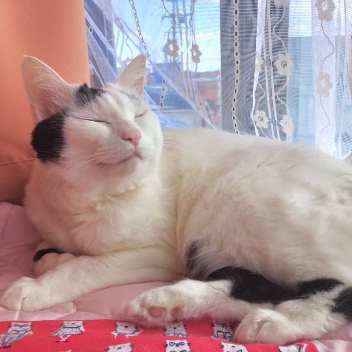 5f85a483 d17c 4eaa b930 956ac40c7fb5 1584599972136