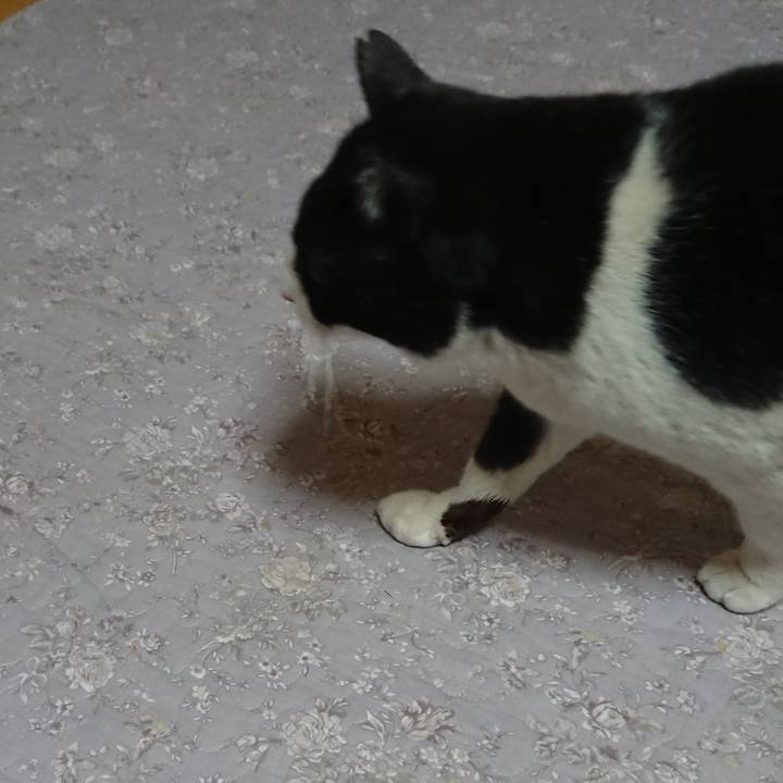 5f85af6b f771 4208 97f8 1aae303449d7 1550580553136