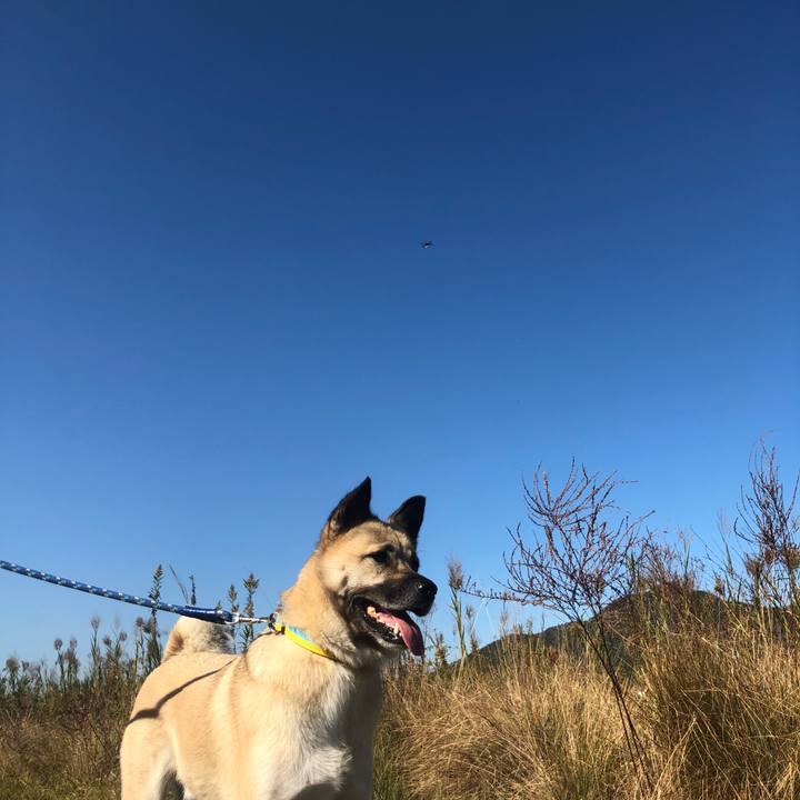 5f85e1d6 af21 4266 845c 1486ad86a75e 1574495915465