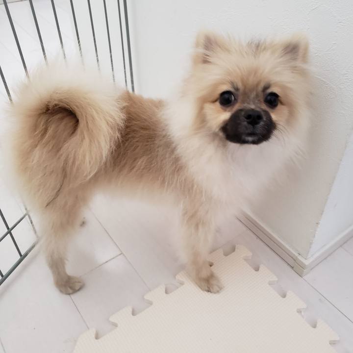 5f860ad5 c9dd 46fe 8675 dfb12f977f5f 1617457007988