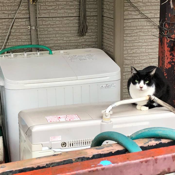 5f8612d9 ce3b 45a0 9c47 0d37aed9c49d 1603575973067