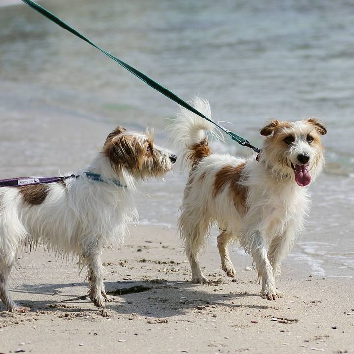 5f863ac0 8566 46b1 9ef7 a70973a3c457 1772012070412