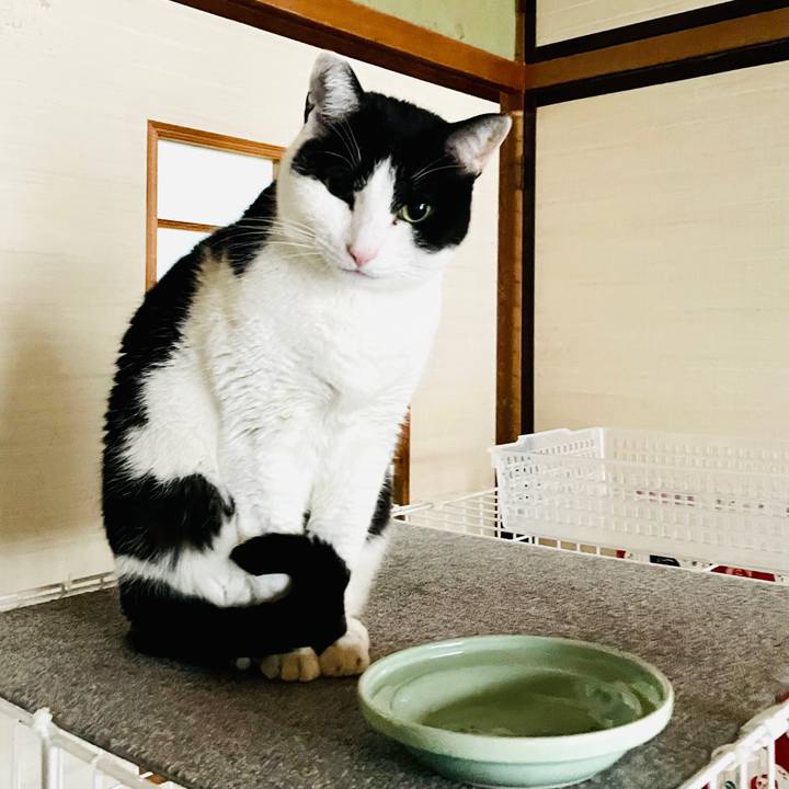 5f866c50 6c66 450a 9955 bc224e2a2773 1612405497775