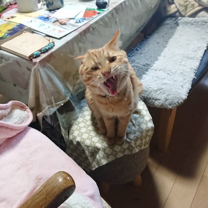 5f8686c3 2d8d 4982 b444 15b84271e515 1650181127063