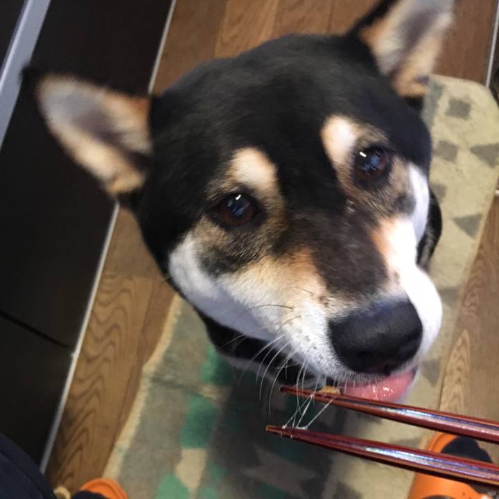 5f869c13 eb42 405b a053 ff61fa9f3f0a 1528412332172