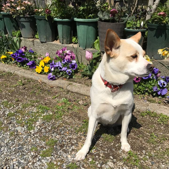 5f86a78b 28b4 4534 8c57 f208df76307d 1552800813806