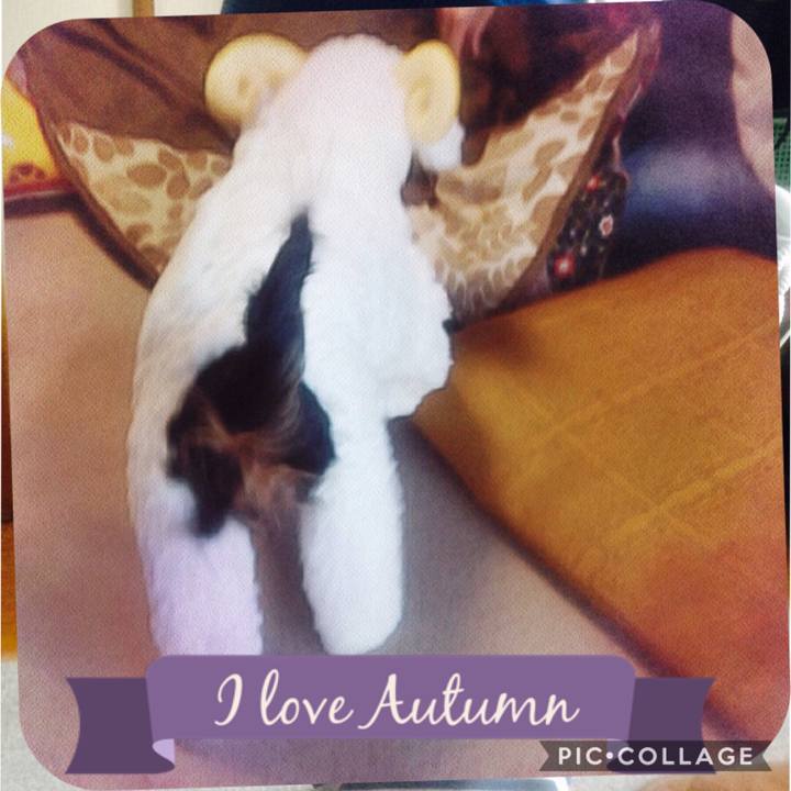 5f86cfb1 00a5 40ea b22b 6b267e088178 1572765215435