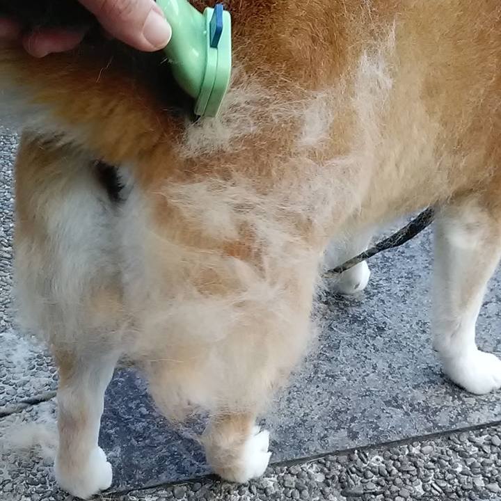 5f872ca4 31d5 43b5 818c 8259c96104f4 1649200600221