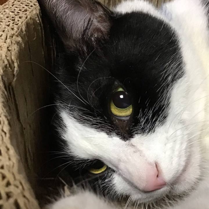 5f872cb1 7543 43fc 9dad 2a5aaf9c0e28 1754136038235