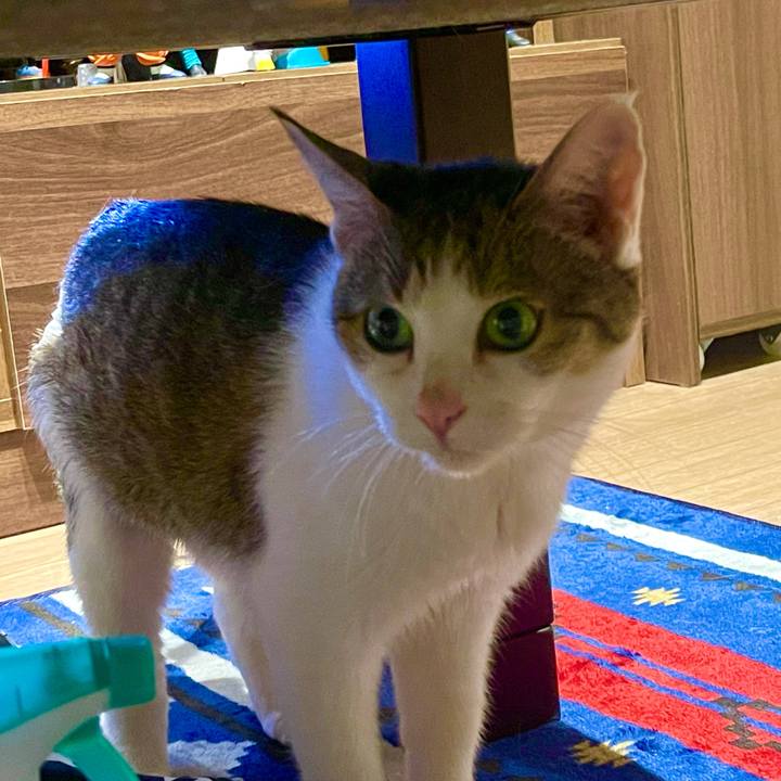 5f8748f6 9244 495e 953b 407d474bbaad 1627642182574