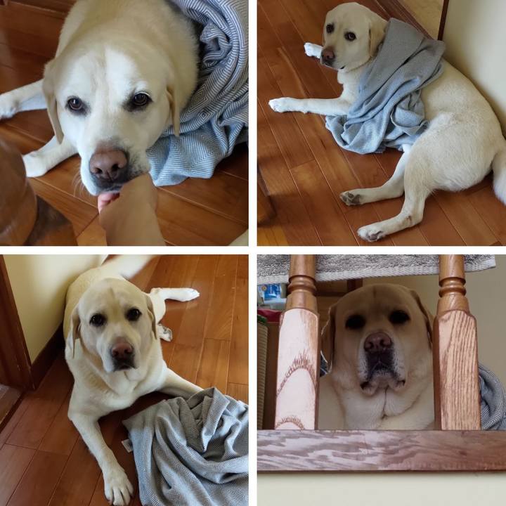 5f875e1b 9fcf 42c4 a4e8 2ab728f52ae6 1684974140944