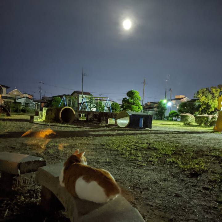 5f87b6f7 95a0 4d40 b179 0a98ec3cad14 1601448097926