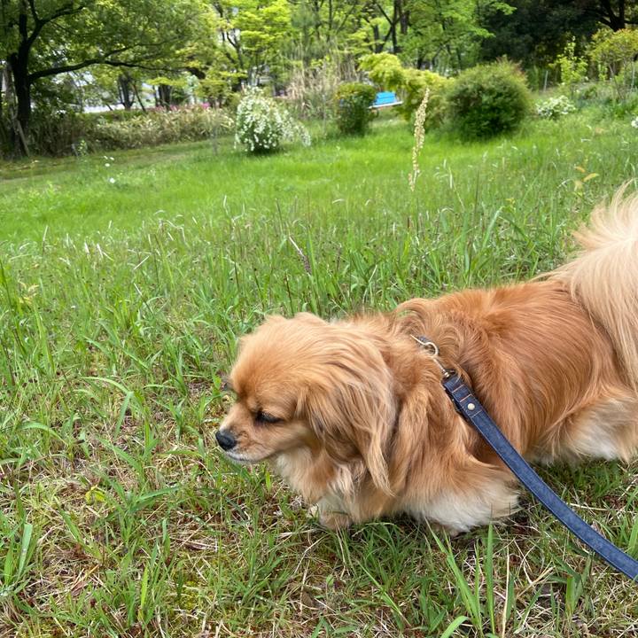 5f880364 6d0c 4792 bac3 42aa66571637 1588551117727