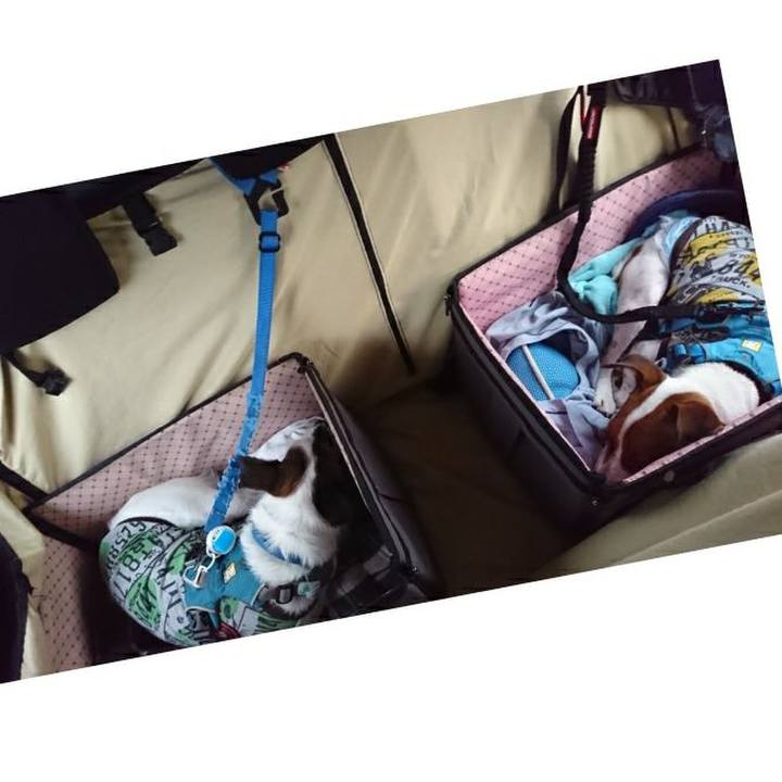 5f881240 8646 4b84 a6df 3f428b66c227 1593337156665