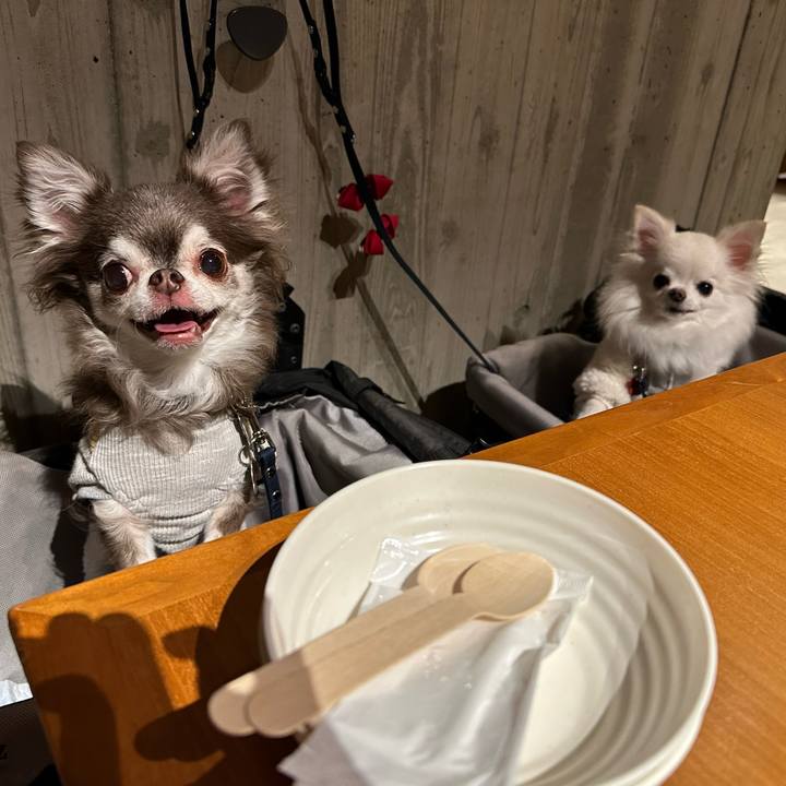 5f8826b8 b49f 4d04 9e37 8c12d352e0f7 1701511411717