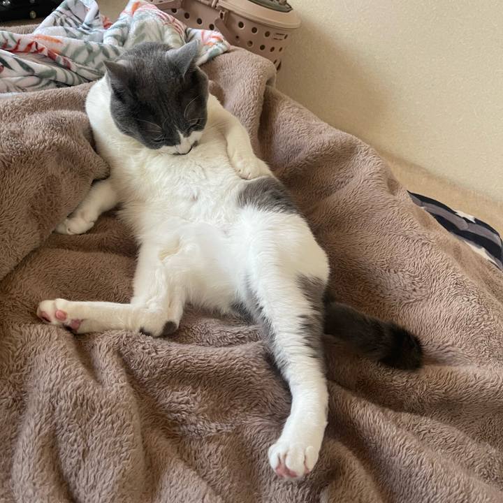 5f884020 aada 4cae bc54 146490056655 1671776762944