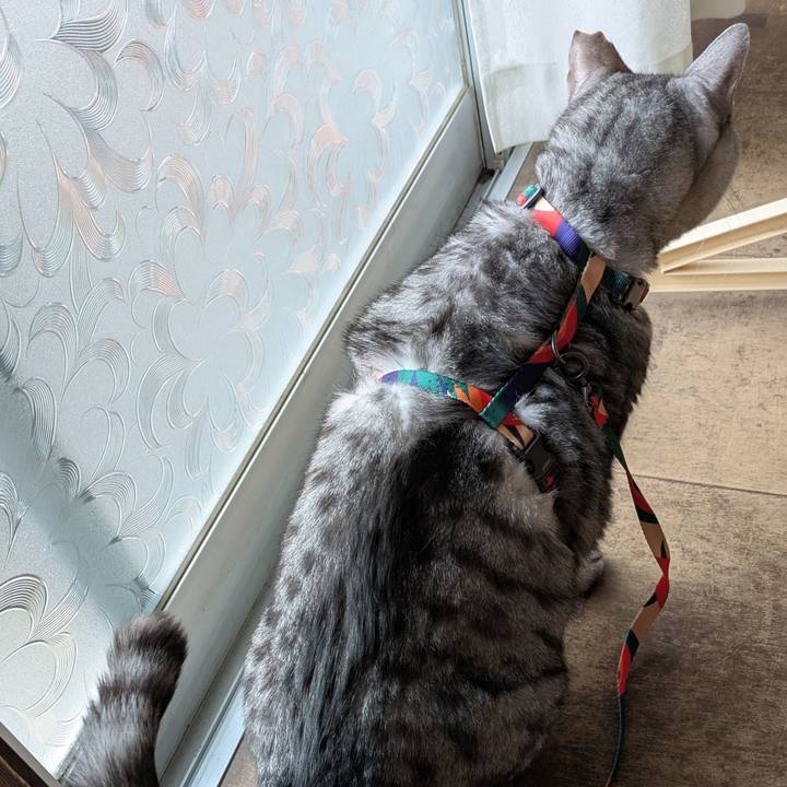 5f884b6a 0d67 4acd b506 e3834dd8d235 1763571538481