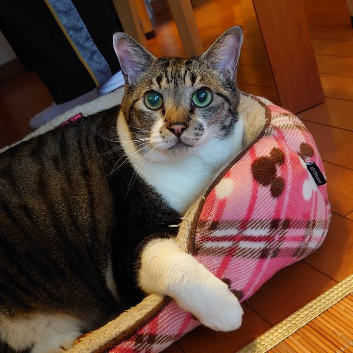 5f885125 417d 4f93 af03 d23c3bea341d 1665636967286