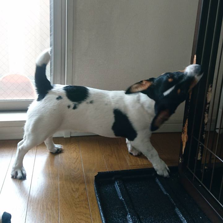 5f885da7 9754 4819 bd8c 796b1a00d21a 1523097481144