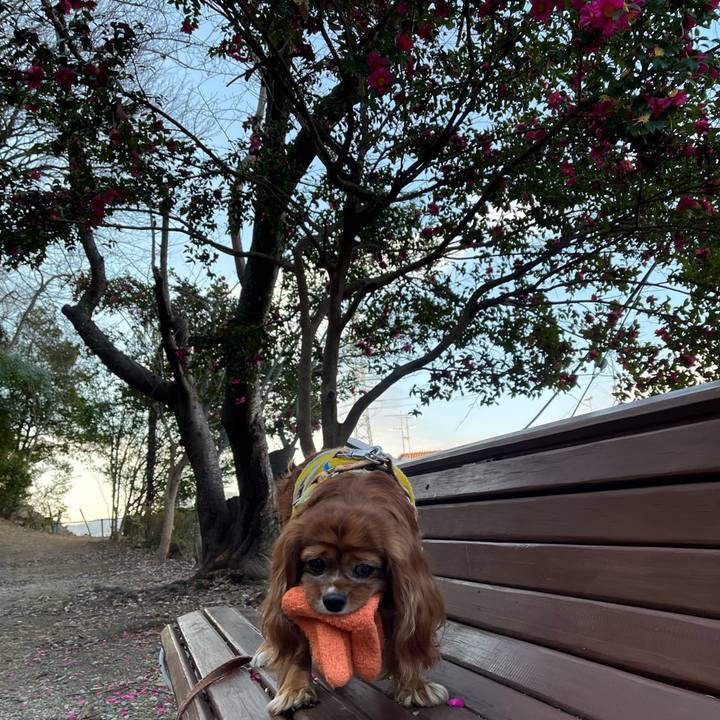 5f886a85 86d8 44dc b296 a4ec82bb4dcf 1672958275812