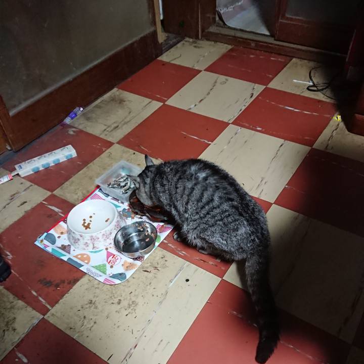 5f888a0b 73b9 4a24 b292 d785ac071a24 1588796189294