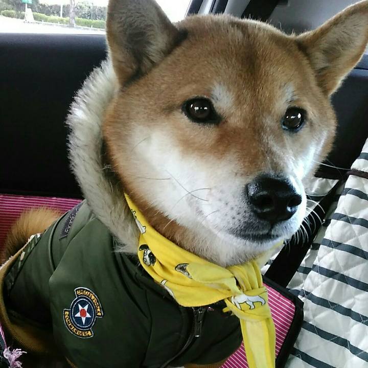 5f88acdc fde8 4b73 b7b4 5188f6a04601 1545607971453