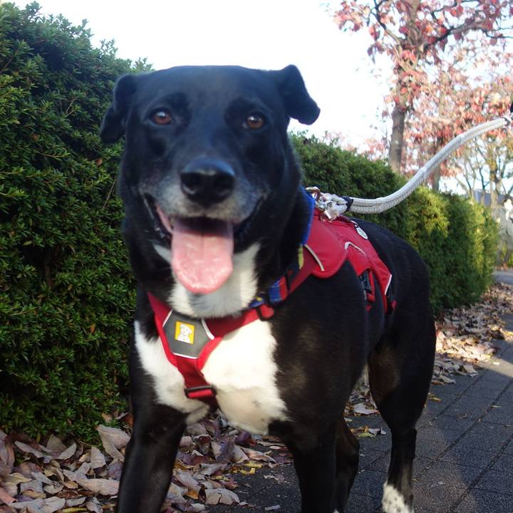 5f88d680 9f96 4e7e 85f4 281ec5359a1d 1667954045664