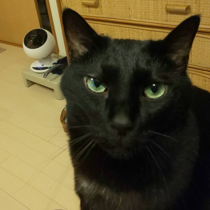 5f88dc90 f6c7 4ed8 9675 b3bafb186a68 1754740597930