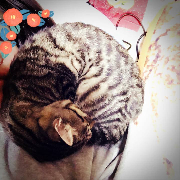 5f895fc8 c30f 43ca 97e4 23d13e6141a2 1542116499913