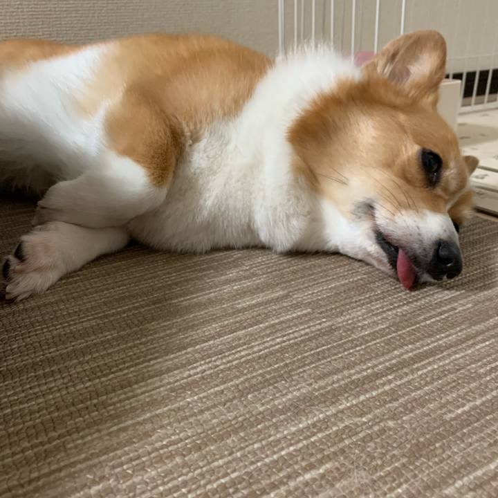 5f8976af 824b 4045 b27e 629271e2112b 1592258108862