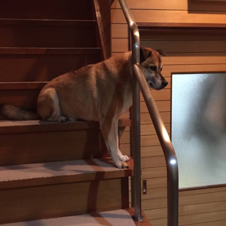 5f899d5a dd0b 42ec 81a7 b13e6096f5e7 1548901610141