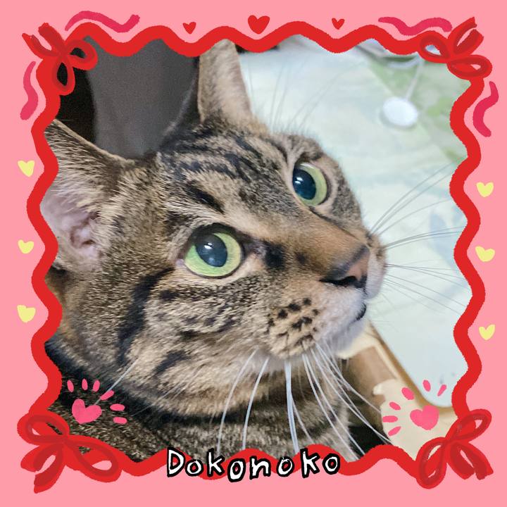 5f89abf6 78ad 475f b366 d517d4e62c35 1706877424498