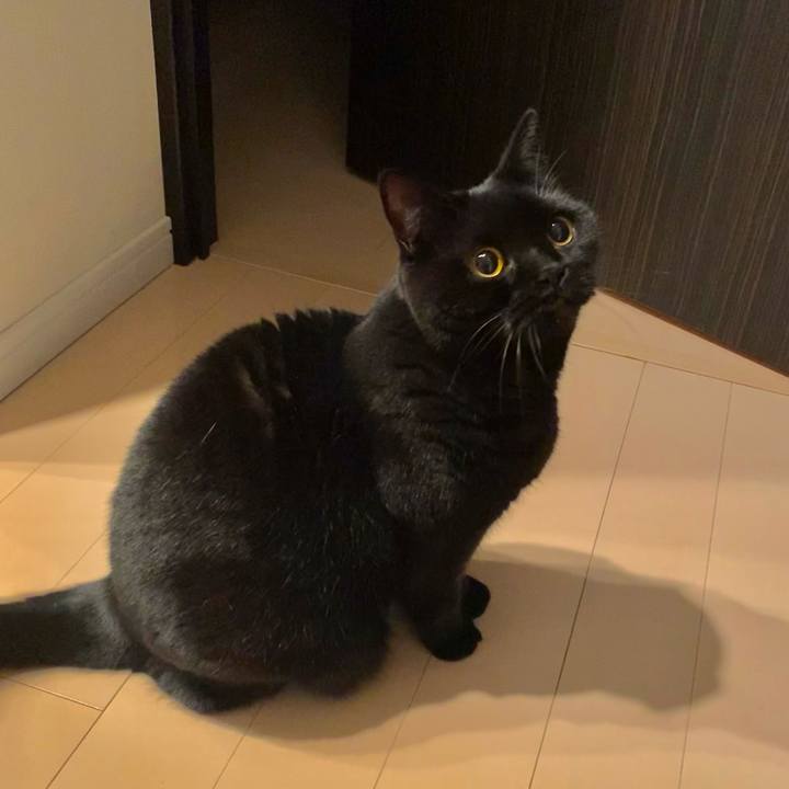 5f89bc23 850a 4832 a829 2a2a121f896d 1607862029912