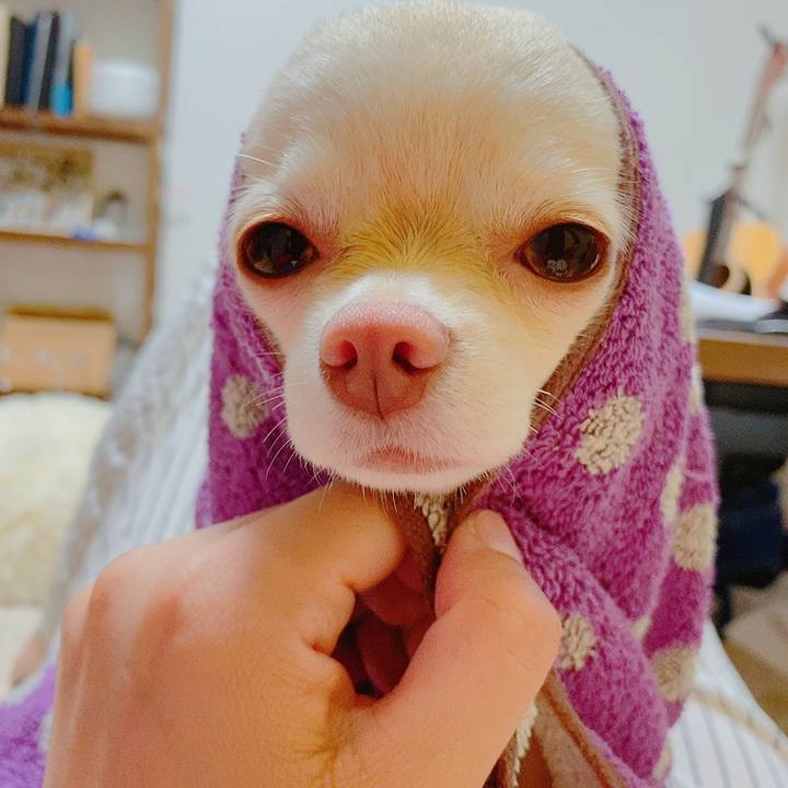 5f89bd17 7696 4f2a a39d 787fc26be6ef 1621255484136