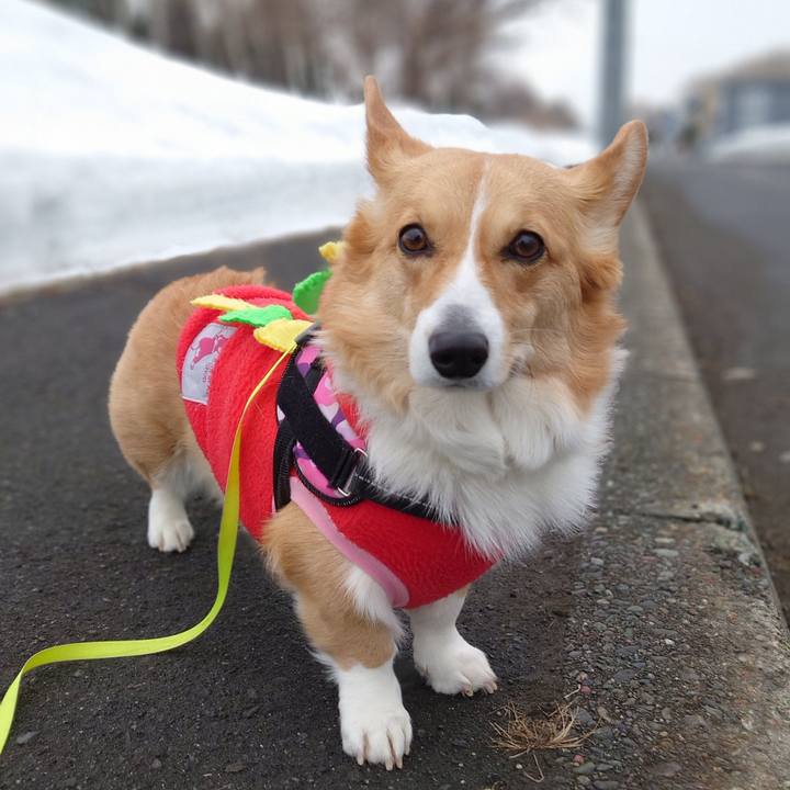 5f89fb7a edee 4de6 9ac8 449e53131578 1773358153790