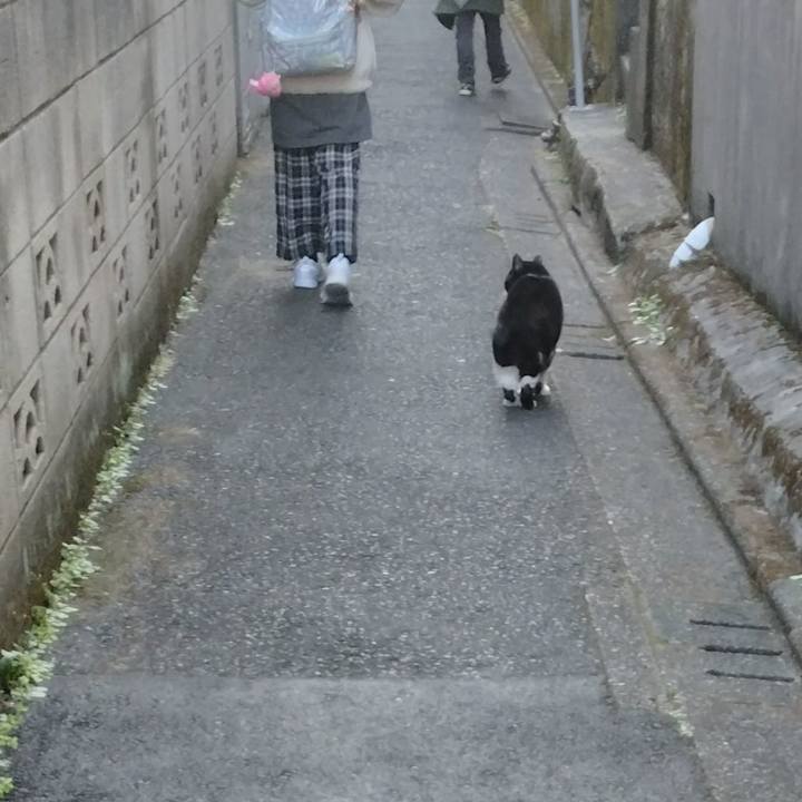 5f8a0851 1a91 402b a164 a76680967078 1704857120292