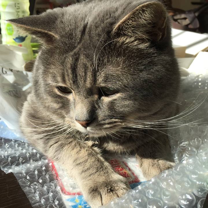 5f8a184a 1247 4c18 8ca5 9231fe467710 1521246838336