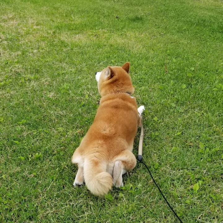 5f8a1852 9140 4d0a b25b e183e05ff9cf 1653639050032