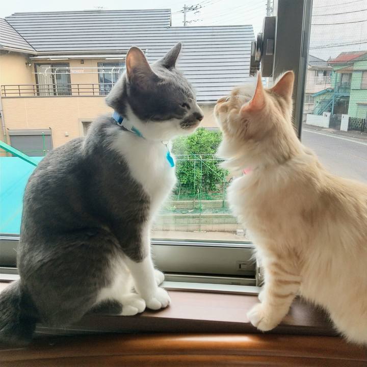 5f8a3738 e918 4bfc aeb6 e76609205265 1621034491582