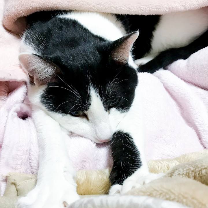 5f8a5dec be41 4051 aa50 cf533a43cf39 1514722293038