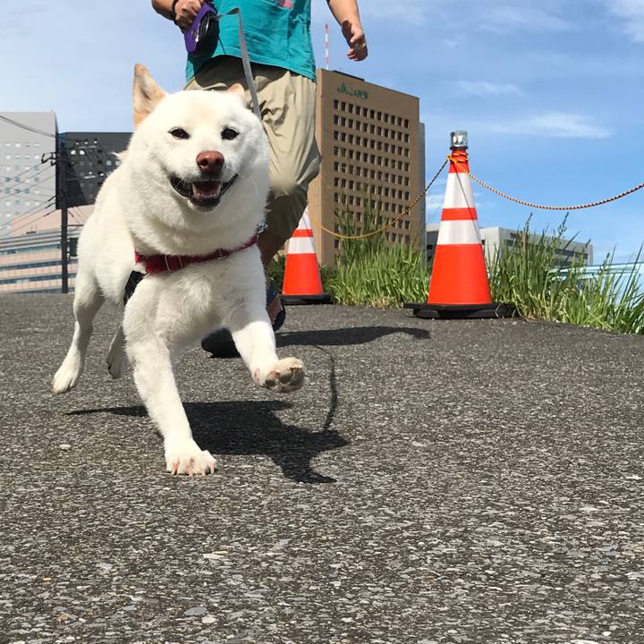 5f8a6baf 079f 4530 9b00 10f1895a17e2 1534294310564