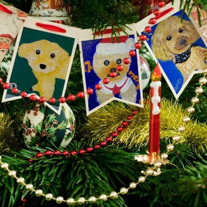 5f8a72a4 5922 4b1b 81fb 88841c83eed4 1512217724551