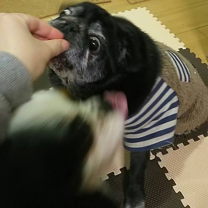 5f8ae49e 265b 4686 b41d 08b555d0aef5 1520604240709