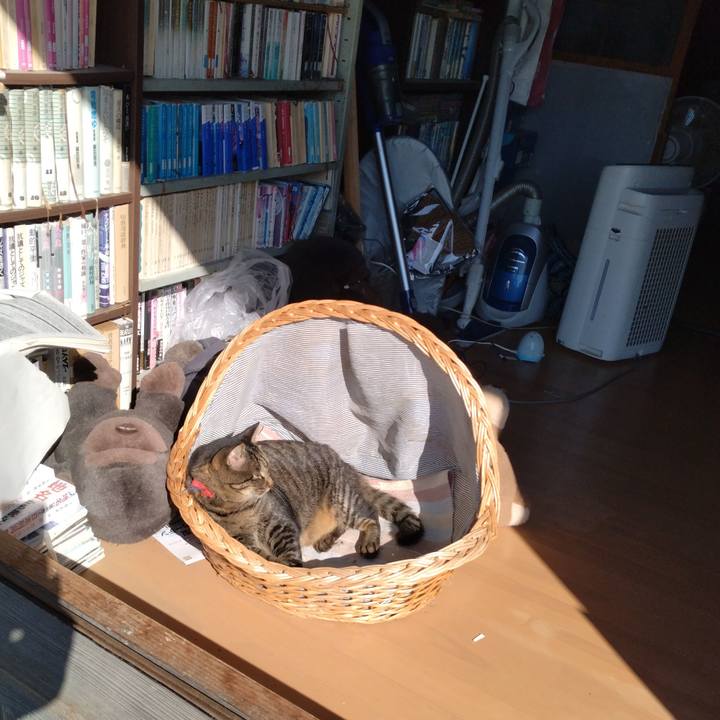 5f8b20f3 c24e 4e91 885a 0bb9bbda03e8 1695525743376