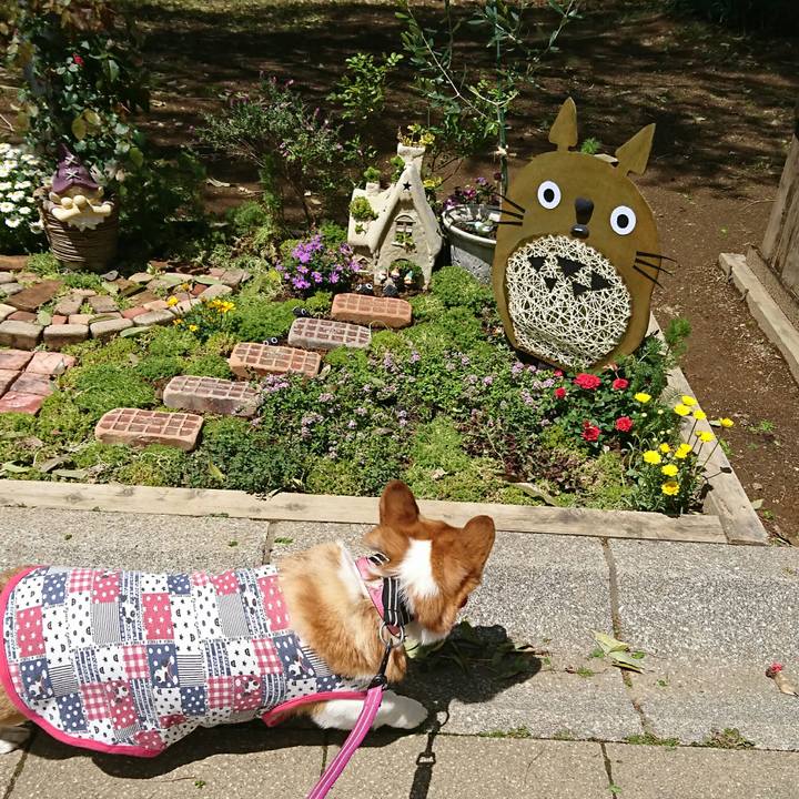 5f8b2a82 339e 40a0 a807 ee3d6531f756 1556451860521