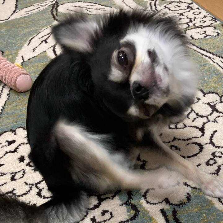 5f8b3780 c3f1 4fdd a23d 1c8329d8a1ec 1622989628842